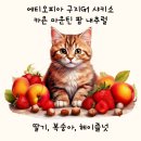 마운틴팜 이미지