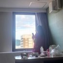 대일오토 | 시즈오카♩ 시라이토 폭포 오카리나 요정님
