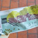 한국차박물관버스정류장(보성방향) | [대만 여행 - 8일차] 사계절이 여름인 타이난