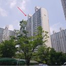 케어팜동물약국 이미지