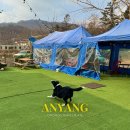 꾸어바666 | 안양 애견동반 식당 꾸어바666 운동장 있는 맛집 추천