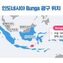 창조인터내셔널