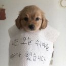 생활 요가 이미지