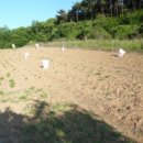 산후1리다목적회관 이미지