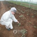 덕동농장 이미지