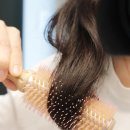 제이끌레르 엉킴 없는 전문가 프리미엄 헤어롤빗 추천