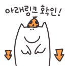 제이디블루