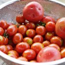 영감댁민박 이미지