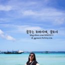 화이트비치