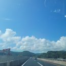 카앤카즈렌트랑리스랑 네이버블로그