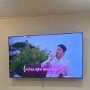 85인치 400만 원대 QLED TV가 140만 원대라고? "QLED 120Hz 더함 CHiQ 스마트TV" 직접써본 솔직 후기