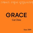 그레이스 고양이 심장&치과병원 이미지