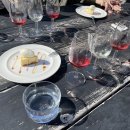 2023-0056 | 야마나시 소규모 와이너리 98WINEs 방문