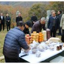 세일사