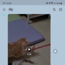 학익동물병원 이미지