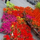 화정역광장 이미지