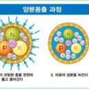 하이그린 농장 이미지
