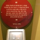 대한삼쾌교육원