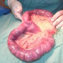 하일동물병원 이미지