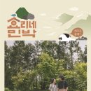 아쿠아민박