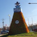 홀론공원 이미지