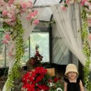 준서농장 이미지