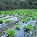 바우농장 이미지