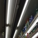 단양농협 대강지점 이미지