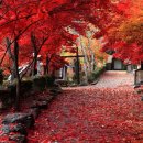 수원-0911 이미지