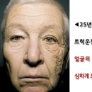 선팅