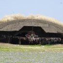 예래동-7 이미지