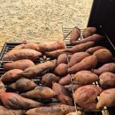 솔봄스테이 | 아버지의 날! 실버타운 이미용 봉사활동, 스테이 상조 외벽 셀프페인팅