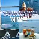 [부산]영도 흰여울문화마을 통창 오션뷰 카페 헤일르 바다멍때리기 좋은 힐링 핫플 재방문 후기