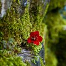 오천파크골프존 이미지