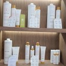 송부자농장 | [성북구/동선동] 성신여대 전체염색 후기 살롱드바이퍼스트 (by. 서정미 원장님)