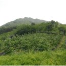 칠봉산 농장 이미지