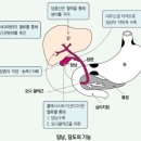 건강탕 이미지