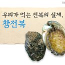 우리전복