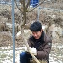 강신농장 이미지