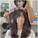 라이킷헤어 네이버블로그