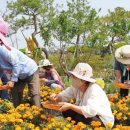 건국농장 이미지