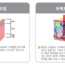 엘리나의원 네이버블로그