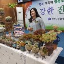 승자농장 이미지