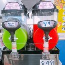 지동야채 이미지