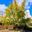 (주)오래뜰 이미지