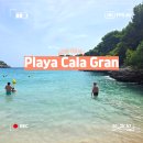 [스페인] 마요르카 해변 추천! Playa Cala Gran (플라야 칼라 그란) 후기! (+ 주차, 준비물, 꿀팁)