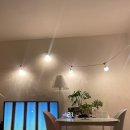 오지5구 이미지