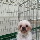 공주동물병원 이미지