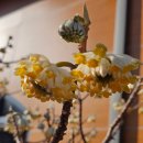 저전나눔터 이미지