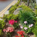 차귀도 약국 이미지